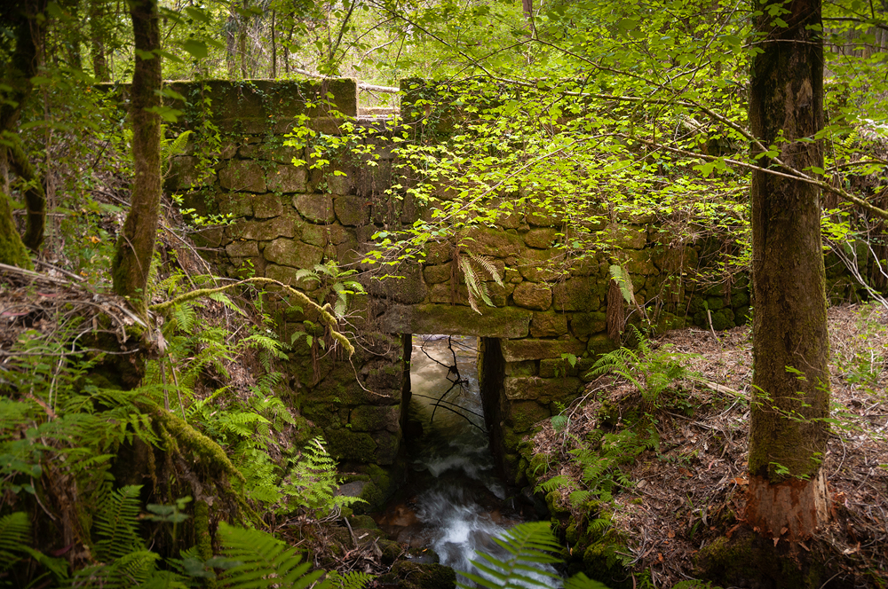 Camino Real de Tui a Baiona a su paso por Gondomar