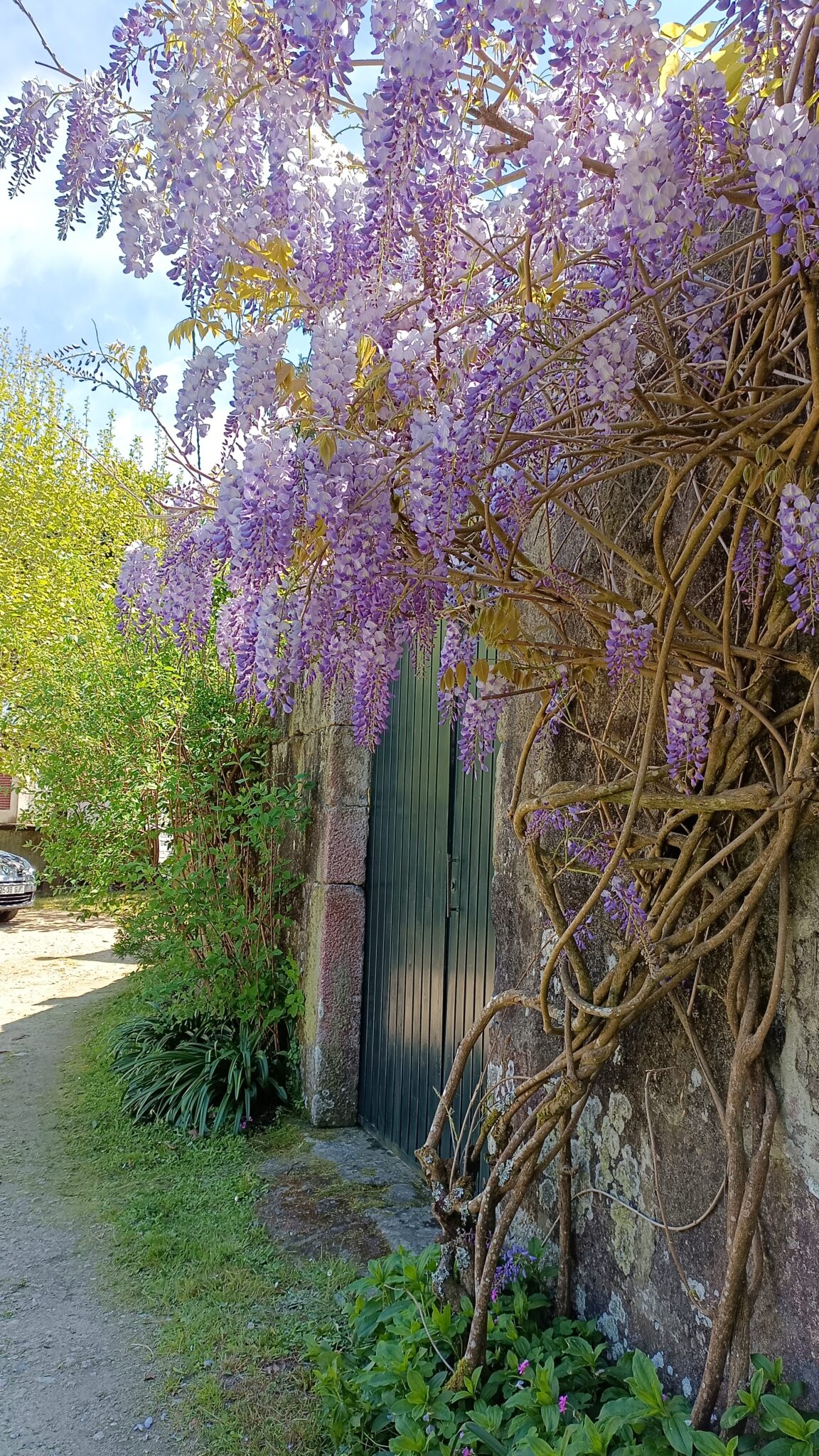 Casa Estarque