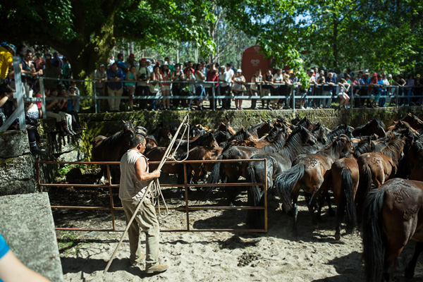 Curro de Morgadáns