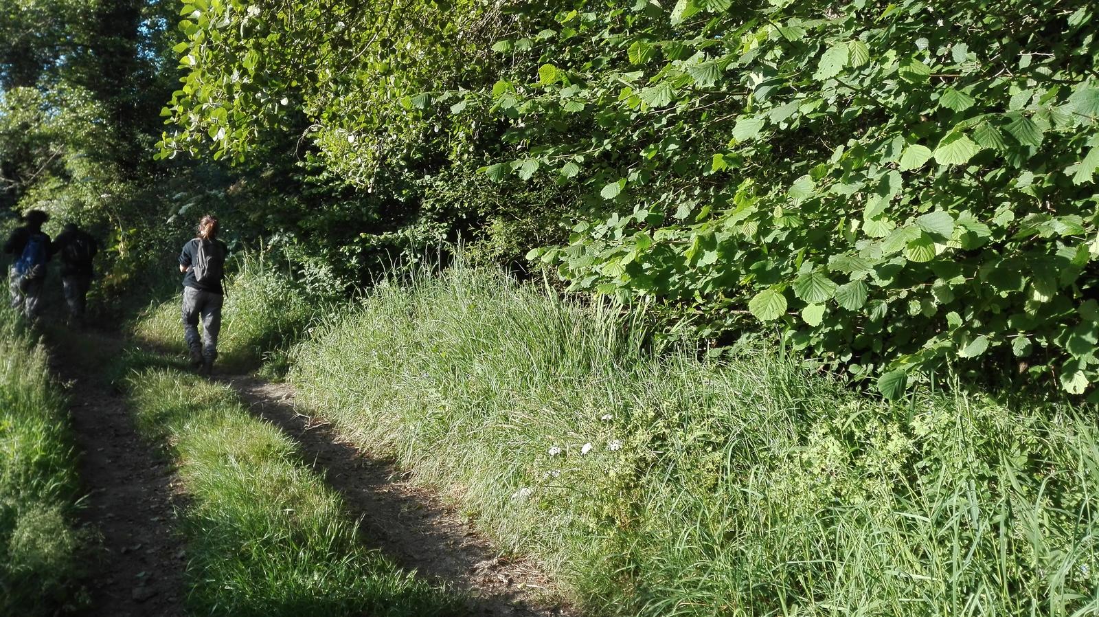 Ruta de Ánimas