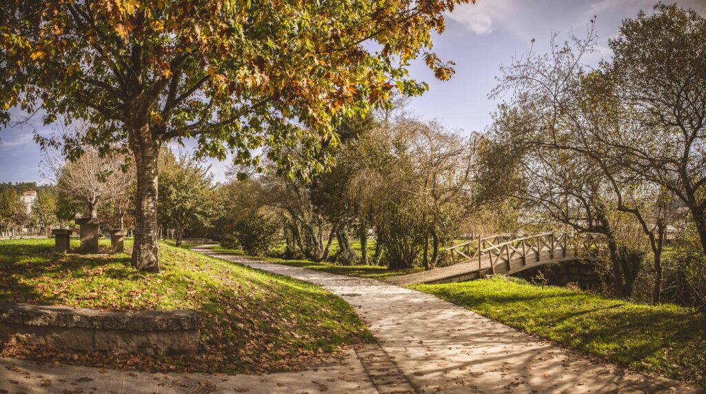 Parque da Coelleira