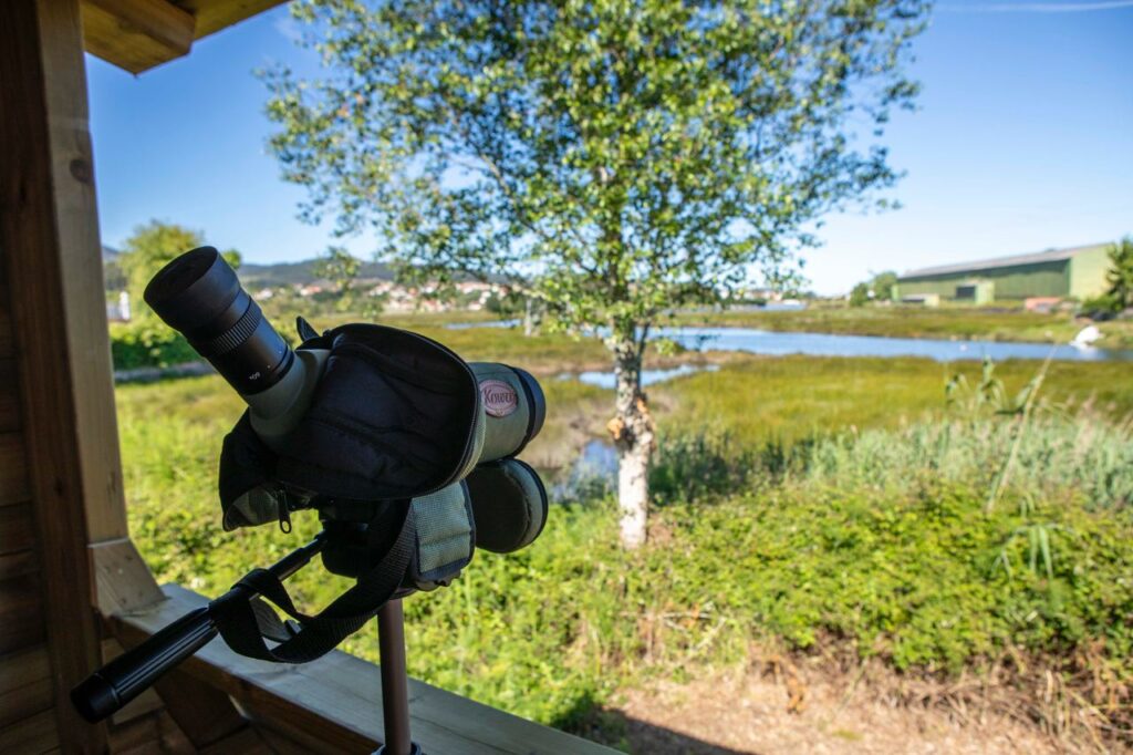 Observatorio de fauna de a Xunqueira de Borreiros